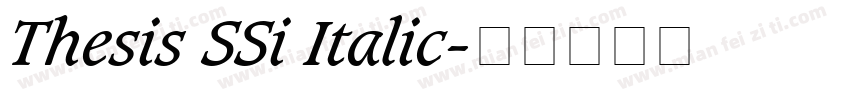 Thesis SSi Italic字体转换